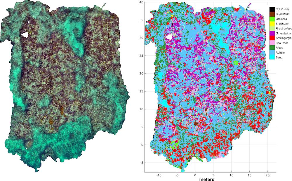 PLOS One 2020 Paper: Automated classification of three-dimensional reconstructions of coral reefs using convolutional neural networks